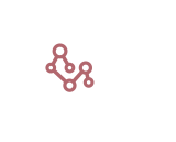 Communities and Networks